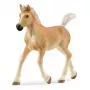 Schleich HORSE CLUB Haflinger kumeliukas, 5+ metų, arkliai, smėlio spalvos, ruda, plastikas
