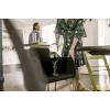Belaidis 2 viename šluotinis dulkių siurblys Karcher VC 6