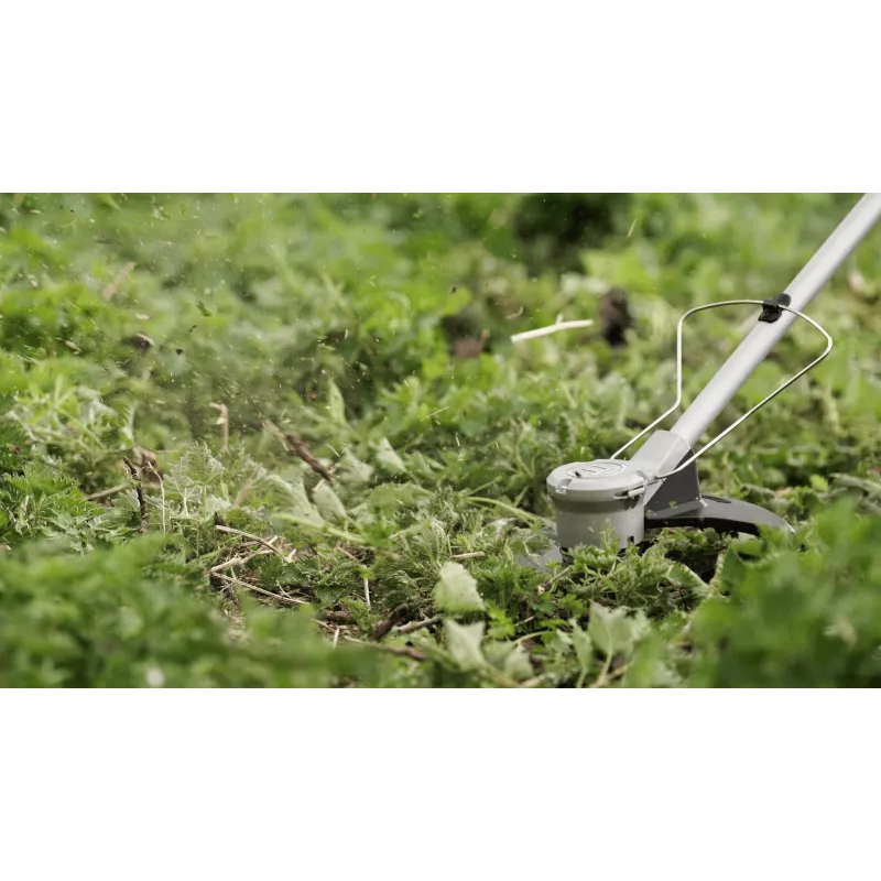 Bosch BrushCut belaidė žoliapjovė 2,4 mm 36 V ličio jonų (Li-Ion) žalia