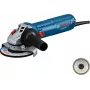 Bosch GWS 12-125 Professional kampinis šlifuoklis 12,5 cm 11000 RPM 1200 W 2,2 kg