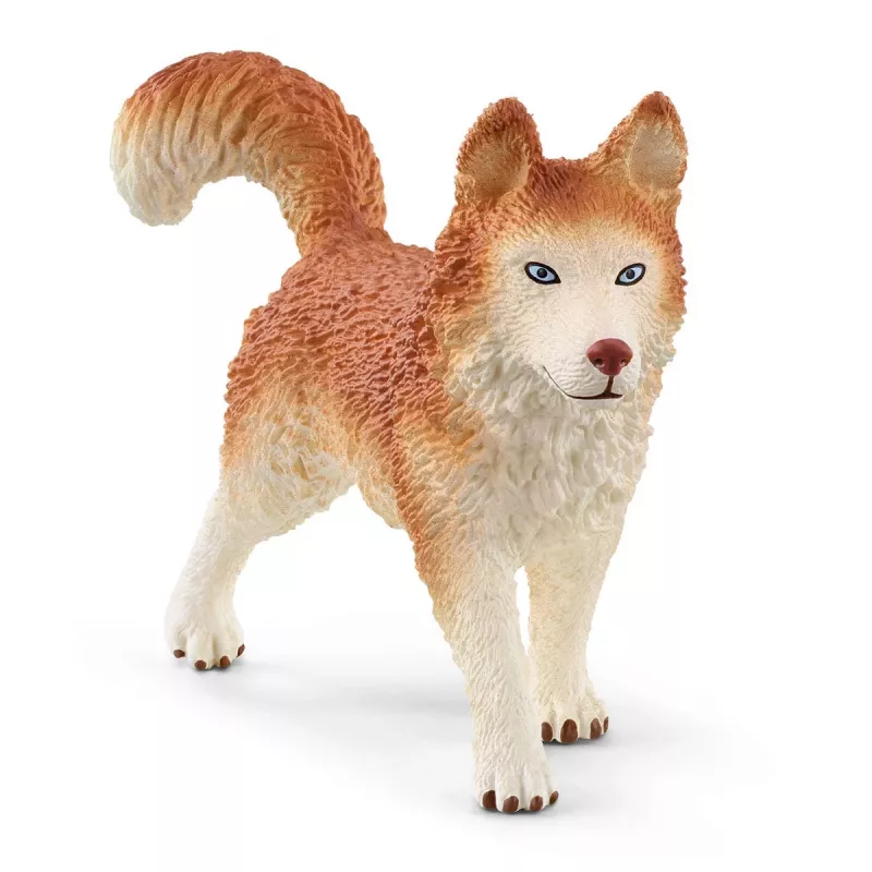 Schleich WILD LIFE Antarkties ekspedicija įvairiaspalvis 42558