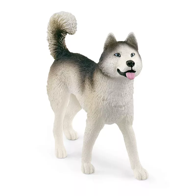 Schleich WILD LIFE Antarkties ekspedicija įvairiaspalvis 42558