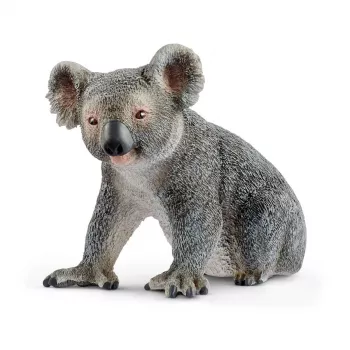Schleich WILD LIFE Koala – Figūrėlė, 3+ metai, Džiunglės / Laukiniai gyvūnai, Įvairiaspalvė, Plastikas, 1 vnt.