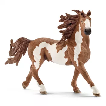 schleich FARM WORLD Pinto eržilas, 3 m., ūkio gyvūnai / žaisliniai gyvūnai, arkliai, įvairiaspalvis, plastikas, 1 vnt.