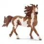 schleich FARM WORLD Pinto eržilas, 3 m., ūkio gyvūnai / žaisliniai gyvūnai, arkliai, įvairiaspalvis, plastikas, 1 vnt.