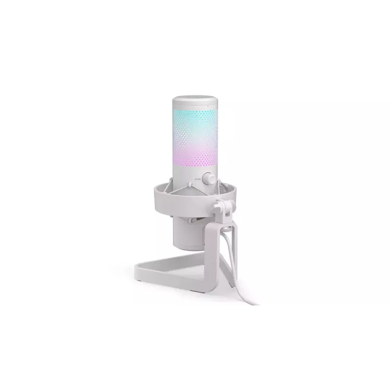 ENDORFY AXIS Streaming White – USB mikrofonas, kardioidinis, 30–18 kHz, 192 kHz/24 bit, stalinis stovas, nutildymas, ausinių išvestis