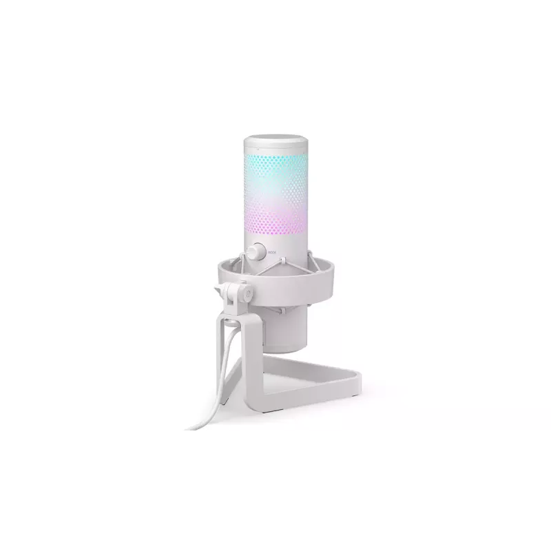 ENDORFY AXIS Streaming White – USB mikrofonas, kardioidinis, 30–18 kHz, 192 kHz/24 bit, stalinis stovas, nutildymas, ausinių išvestis
