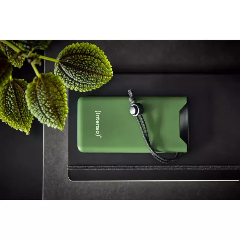 Nešiojamas powerbank Intenso 7332037 10000 mAh