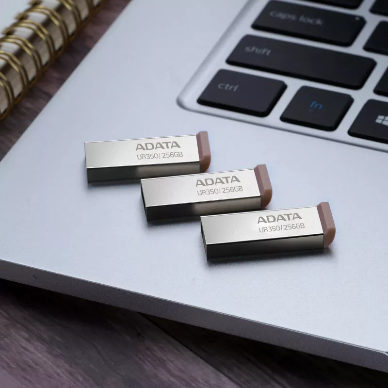 ADATA UR350 USB atmintukas 256 GB USB Type-A 3.2 Gen 1 (3.1 Gen 1) Juoda, Sidabrinė