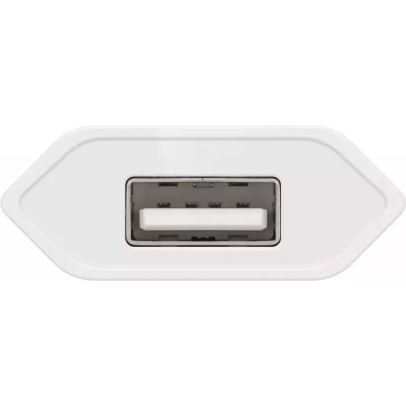 Įkroviklis patalpoms Wentronic 45300, 5V/1A, Micro USB