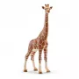 Schleich WILD LIFE Girafe, patelė