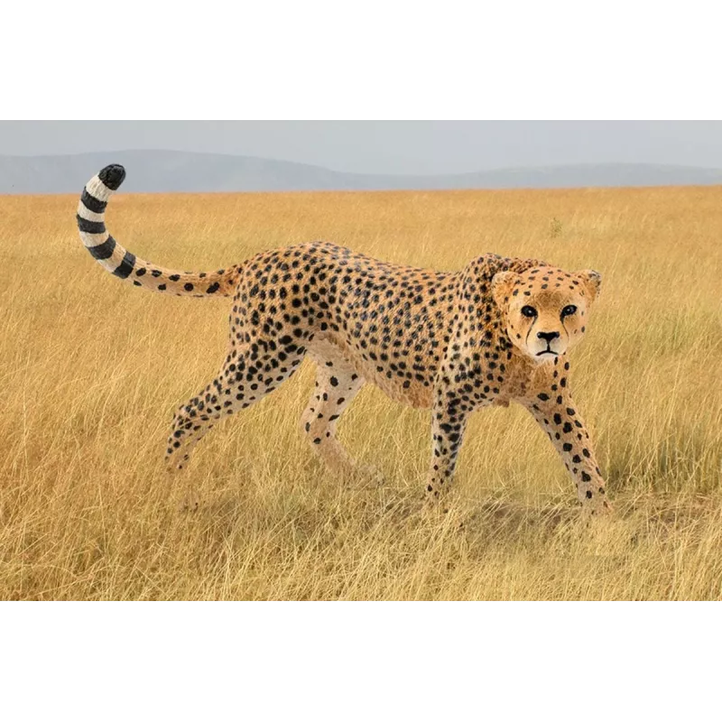 Schleich WILD LIFE gepardė patelė 14746