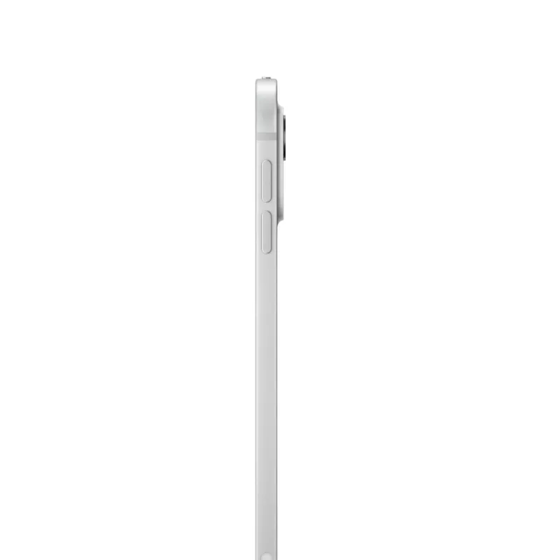 APPLE iPad Pro M4 11 colių Wi-Fi 2TB Sidabrinis Nano-tekstūros stiklas