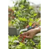 Gardena VeggieCut sodo žirklės Juoda Žalia Nerūdijančio plieno ašmenys