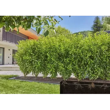 Lašelinio laistymo sistema GARDENA 13500-20
