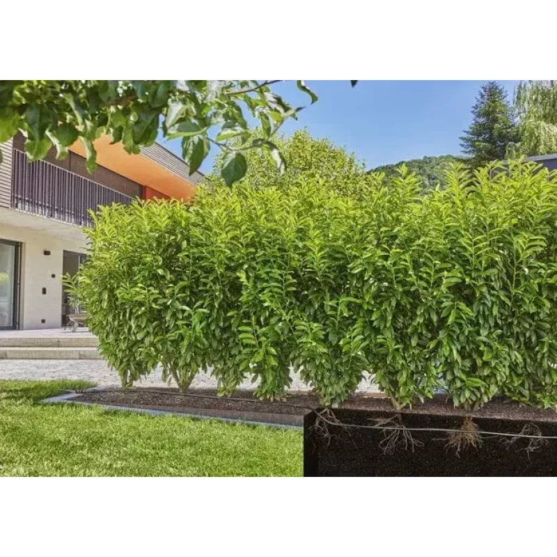 Lašelinio laistymo sistema GARDENA 13500-20