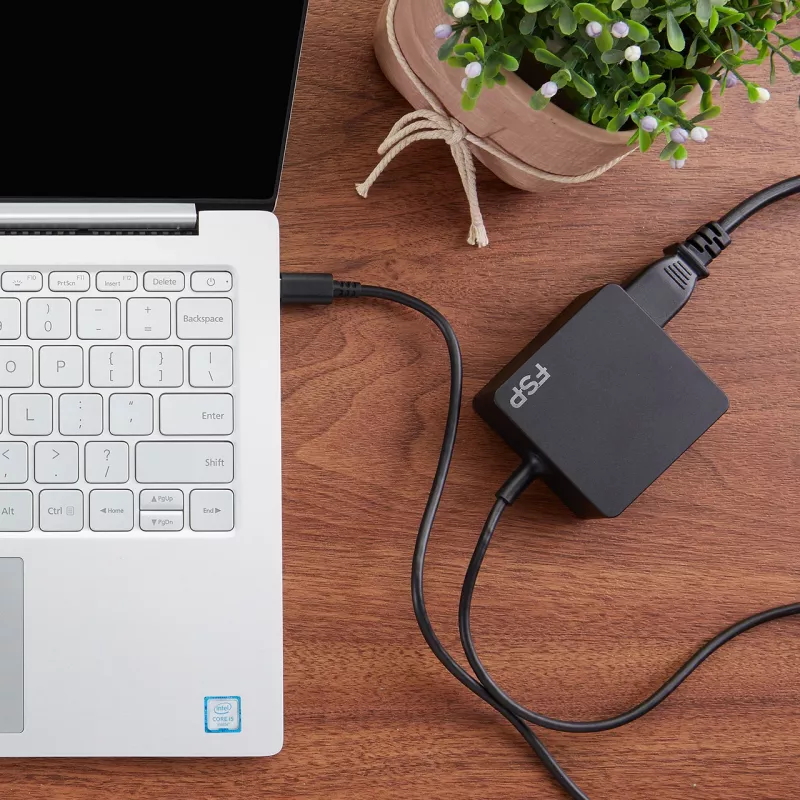 FSP NB C 65 Adapter PD, 65 W, universalus, USB Type-C