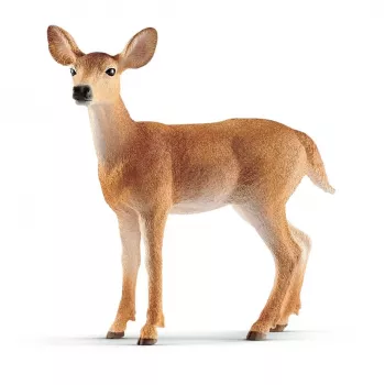 Schleich WILD LIFE Baltoji uodeginė elnė