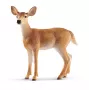 Schleich WILD LIFE Baltoji uodeginė elnė