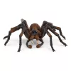 Schleich Harry Potter Aragog, 6 m., Maginės būtybės, Juoda, Ruda, Balta, Plastikas