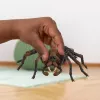 Schleich Harry Potter Aragog, 6 m., Maginės būtybės, Juoda, Ruda, Balta, Plastikas