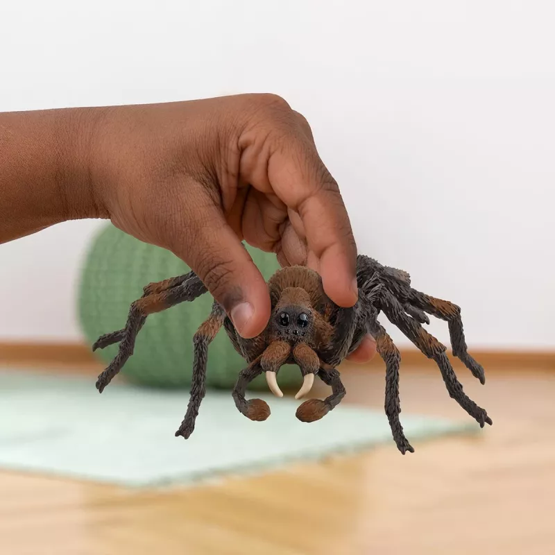 Schleich Harry Potter Aragog, 6 m., Maginės būtybės, Juoda, Ruda, Balta, Plastikas