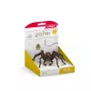 Schleich Harry Potter Aragog, 6 m., Maginės būtybės, Juoda, Ruda, Balta, Plastikas
