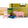 schleich FARM WORLD Didysis ūkis su gyvūnais ir aksesuarais, Ūkis, 3 m., Įvairiaspalvis, Plastikas
