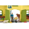 schleich FARM WORLD Didysis ūkis su gyvūnais ir aksesuarais, Ūkis, 3 m., Įvairiaspalvis, Plastikas
