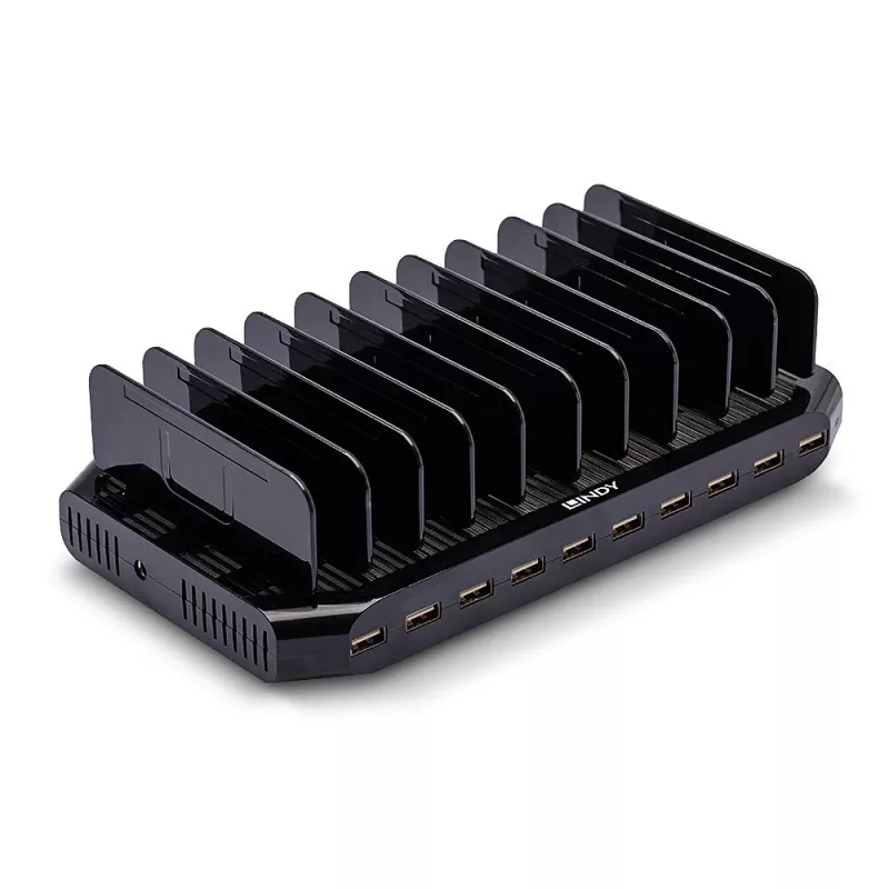 Lindy 96W 10 prievadų USB įkrovimo stotelė, laisvai pastatoma, plastikinė, juoda