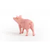 Schleich ūkio kiaulės figūrėlė 13933, rožinė, rekomenduojamas amžius 3+