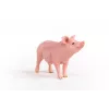Schleich ūkio kiaulės figūrėlė 13933, rožinė, rekomenduojamas amžius 3+