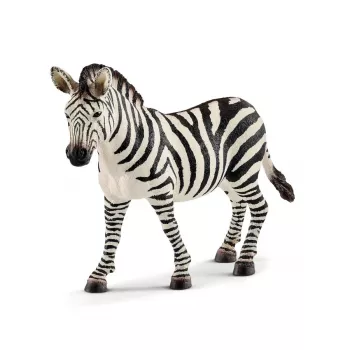 Schleich WILD LIFE Zebra patelė, 3 m., Safaris, Laukiniai gyvūnai / nuotykių žaislai, Įvairiaspalvis, Plastikas, 1 vnt.