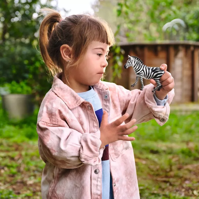 Schleich WILD LIFE Zebra patelė, 3 m., Safaris, Laukiniai gyvūnai / nuotykių žaislai, Įvairiaspalvis, Plastikas, 1 vnt.