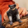 Schleich WILD LIFE Indri Figūrėlė Daugiaspalvė 14877S Nuo 3 Metų