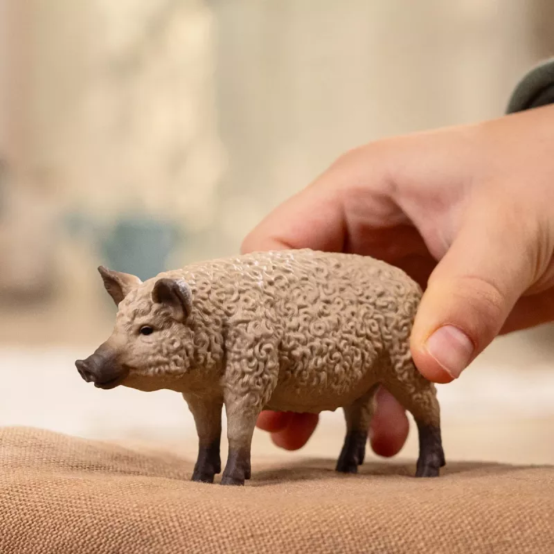 schleich FARM WORLD Mangalica kiaulė, 3 m., Ūkis, Ūkio gyvūnai / žaisliniai gyvūnai, Įvairiaspalvė
