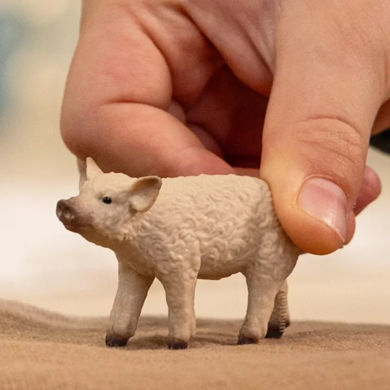 schleich FARM WORLD Mangalicos paršelis