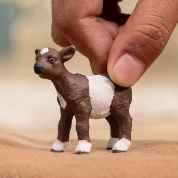 schleich FARM WORLD Ožkytis, 3 m., Ūkis, Ūkiniai gyvūnai / ūkio žaislai, Įvairiaspalvis