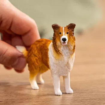 Schleich FARM WORLD Kolija