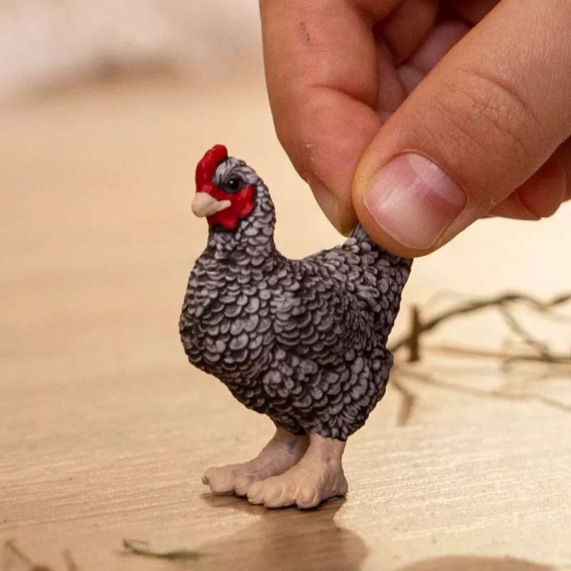 Schleich FARM WORLD Vištiena Plymouth Rock, 3 m.