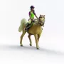 schleich HORSE CLUB Sarah & Mystery žaislinis rinkinys, 5 m., Arkliai, Įvairiaspalvis
