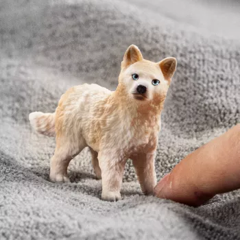 Schleich WILD LIFE Arktinio vilko jauniklis, 3+ m., Ledas ir vandenynas, Laukiniai gyvūnai / nuotykių žaislai, Įvairiaspalvis