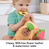 Žaislinis kapibara Fisher-Price Snuggly Snacky Capy nuo 0,5 metų