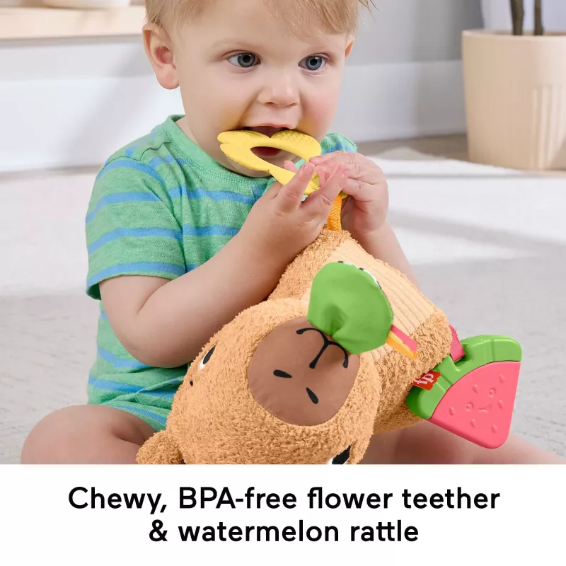 Žaislinis kapibara Fisher-Price Snuggly Snacky Capy nuo 0,5 metų