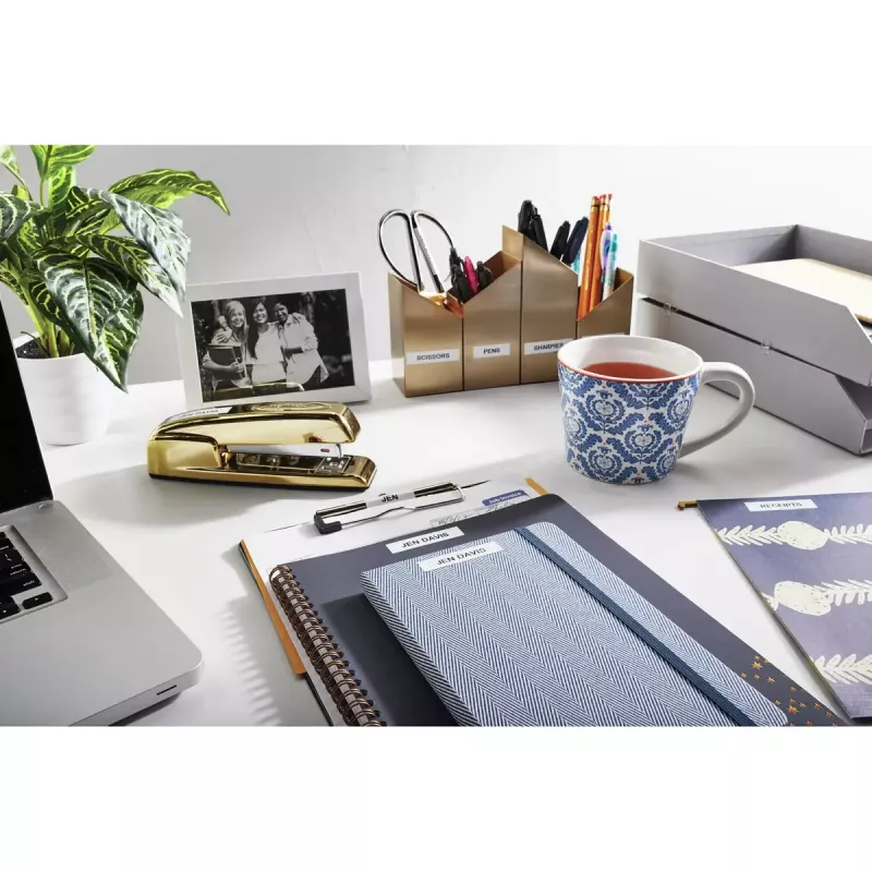 Etikečių spausdintuvas DYMO LabelManager 360D QWZ