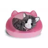 BABY born My Cat Cookie su dėžute, lėlė augintinis, 3 m., reikalingos baterijos