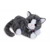 BABY born My Cat Cookie su dėžute, lėlė augintinis, 3 m., reikalingos baterijos