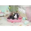 BABY born My Cat Cookie su dėžute, lėlė augintinis, 3 m., reikalingos baterijos