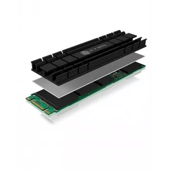 ICY BOX IB-M2HS-701 M.2 NVMe SSD aušintuvas/radiatorius juodas 1 vnt.