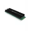 ICY BOX IB-M2HS-701 M.2 NVMe SSD aušintuvas/radiatorius juodas 1 vnt.